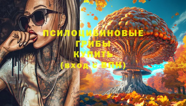 бошки Богданович